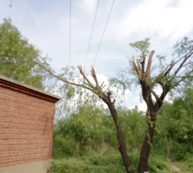 電氣事故引發(fā)加州山火，據(jù)說這個(gè)裝置可以避免事故發(fā)生！