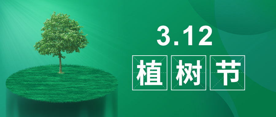 3.12植樹節(jié)|除了植樹，我們還能做什么？